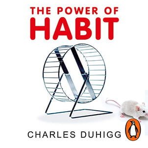 The Power of Habit - Why We Do What We Do in Life and Business